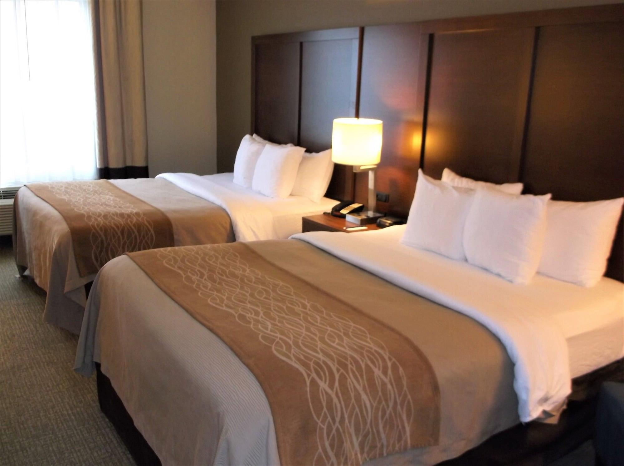 Comfort Inn & Suites Seguin Dış mekan fotoğraf